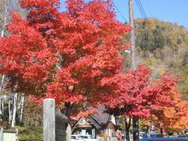 �֤�ꡡ�ġ����